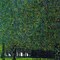 The Park 1910 Poster Print by Gustav Klimt - Item # VARPDX373407